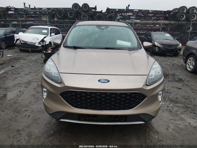 Ford Escape Titanium Hybrid 2020 1FMCU0DZ7LUA39655 Image 11
