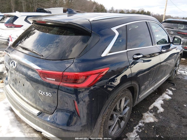 2019 INFINITI QX50 3PCAJ5M37KF118635 Photo 3