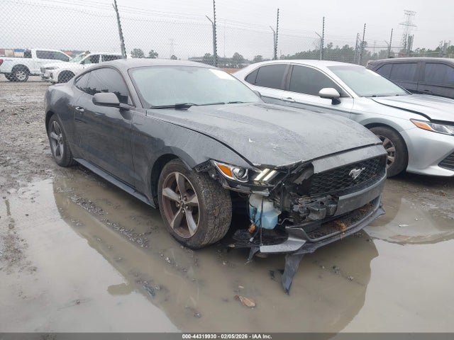 2015 1FA6P8AM5F5406606 main image