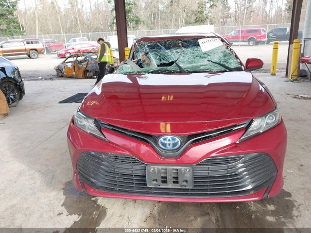 4T1B31HK1JU501741 Toyota Camry Hybrid Le