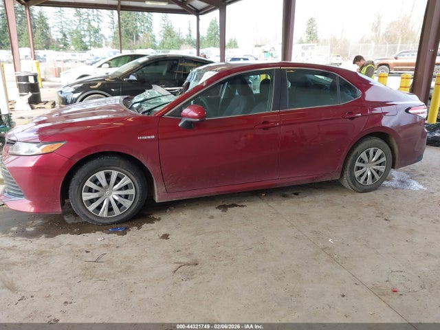 4T1B31HK1JU501741 Toyota Camry Hybrid Le