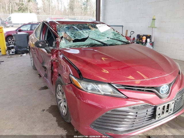 4T1B31HK1JU501741 Toyota Camry Hybrid Le