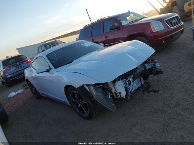 Ford Mustang Ecoboost Fastback 2025 1FA6P8TH4S5124726 Image 14