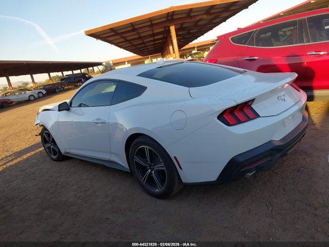 Ford Mustang Ecoboost Fastback 2025 1FA6P8TH4S5124726 Image 15