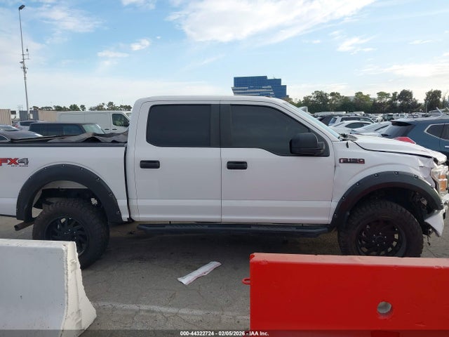 1FTEW1EPXKKC31849 Ford F-150 Xl