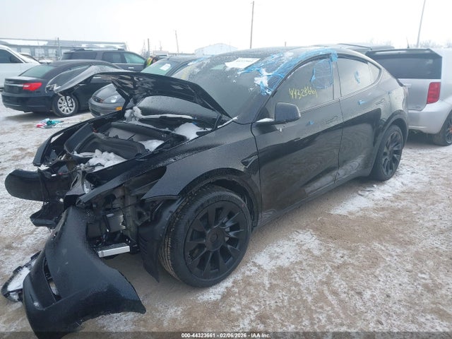 Продаж на аукціоні авто 2024 Tesla Model Y Long Range Dual Motor All-wheel Drive, vin: 7SAYGDEE1RF204639, номер лоту: 44323661