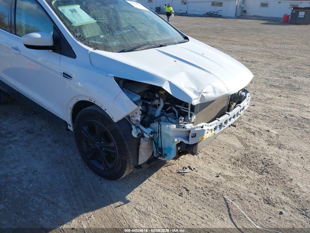 Ford ESCAPE SE 2016 1FMCU0GX5GUB04583 Image 14
