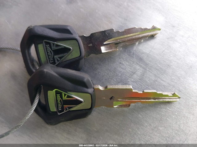 2023 TRIUMPH MOTORCYCLE TIGER SMTE64DFXPTBJ3199 Photo 10