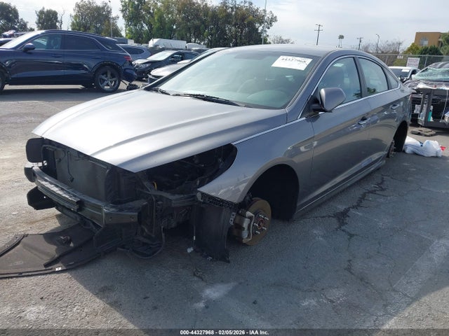 5NPE24AFXJH702972 Hyundai SONATA SE