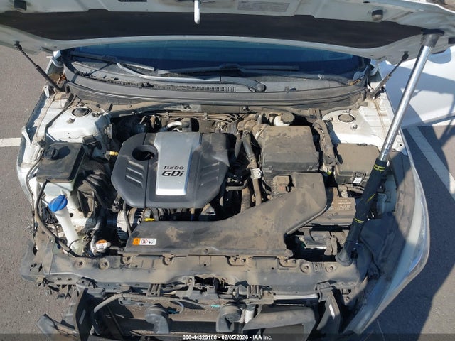 5NPE24AAXFH126036 Hyundai SONATA ECO