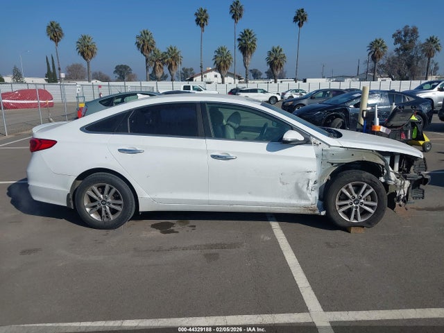5NPE24AAXFH126036 Hyundai SONATA ECO