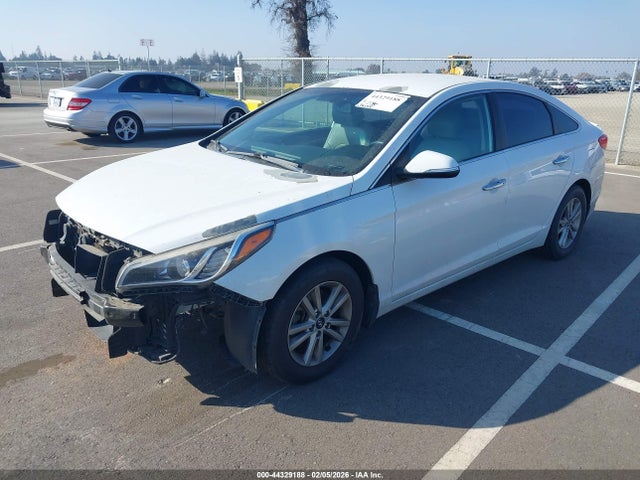 5NPE24AAXFH126036 Hyundai SONATA ECO