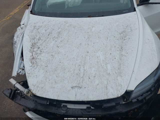 2025 TESLA MODEL 3 5YJ3E1EA0SF909348 Photo 9