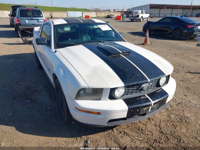 2006 FORD MUSTANG 1ZVFT82H465165142
