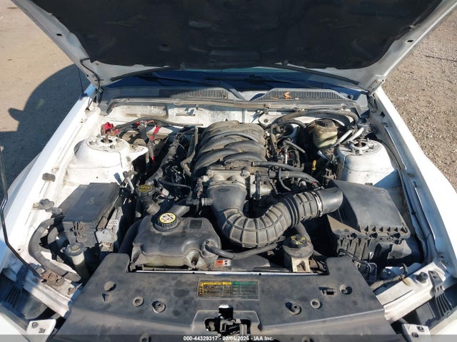 2006 FORD MUSTANG 1ZVFT82H465165142 Photo 9