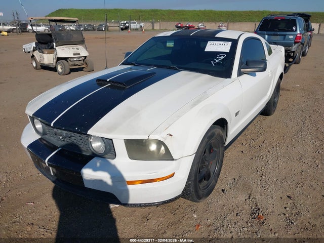 2006 FORD MUSTANG 1ZVFT82H465165142 Photo 1