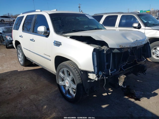 2010 CADILLAC ESCALADE 1GYUKCEFXAR210607