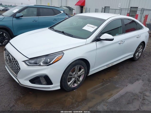 5NPE34AF0KH747207 Hyundai SONATA SEL