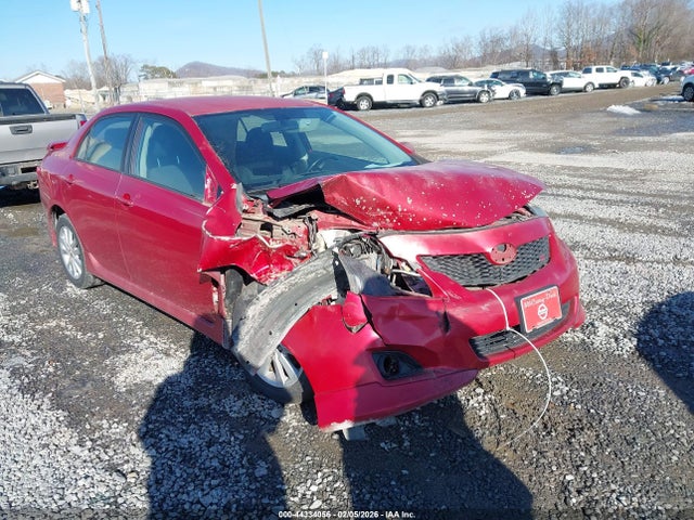 2010 TOYOTA COROLLA 2T1BU4EE8AC315919