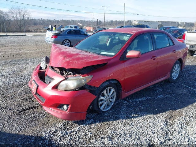 2010 TOYOTA COROLLA 2T1BU4EE8AC315919 Photo 1