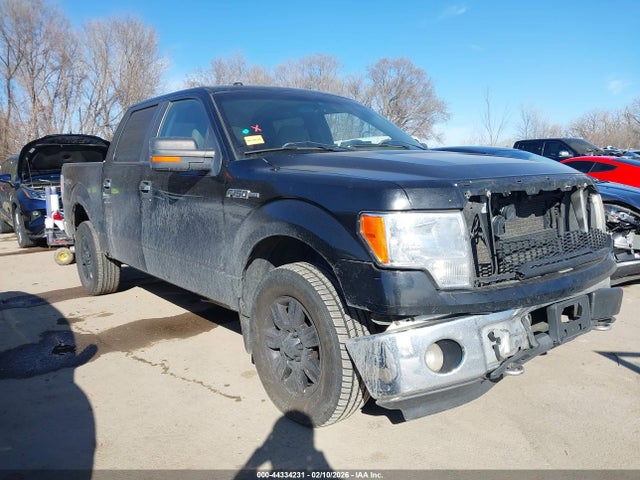 2009 FORD F-150 1FTPW14V49KC54658