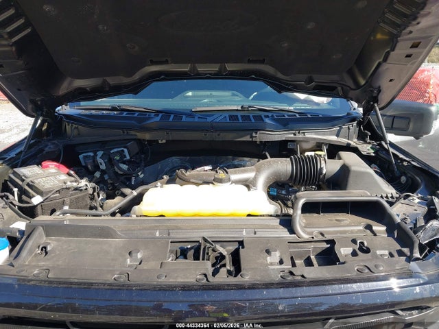 1FTEW3KP7SKE37176 Ford F-150 Xlt