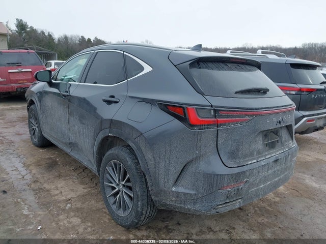 2023 LEXUS NX 350 2T2GGCEZ6PC027086 Photo 2