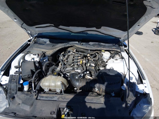Ford Mustang Ecoboost Fastback 2021 1FA6P8TH1M5109202 Image 10