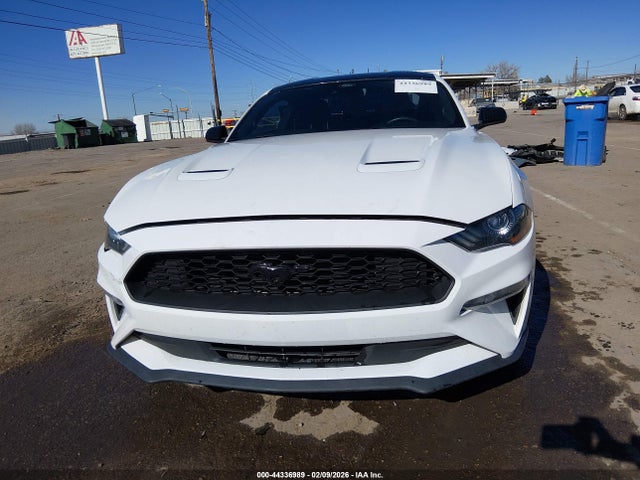 Ford Mustang Ecoboost Fastback 2021 1FA6P8TH1M5109202 Image 13