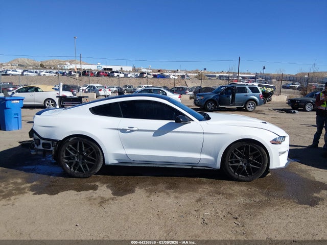 Ford Mustang Ecoboost Fastback 2021 1FA6P8TH1M5109202 Image 14