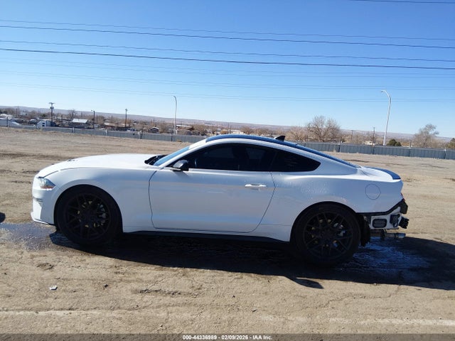Ford Mustang Ecoboost Fastback 2021 1FA6P8TH1M5109202 Image 15