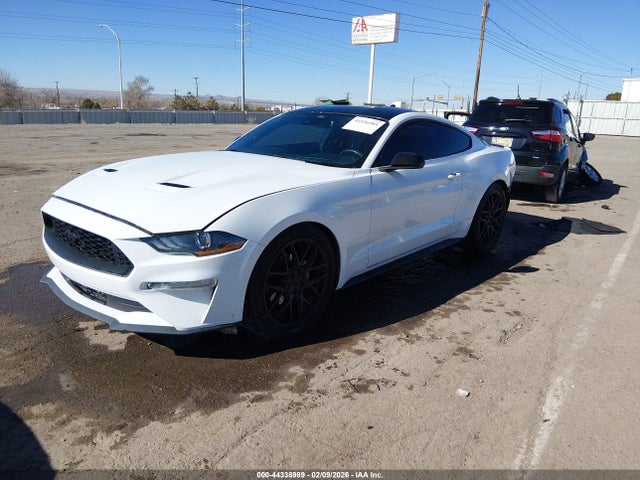 Ford Mustang Ecoboost Fastback 2021 1FA6P8TH1M5109202 Image 2