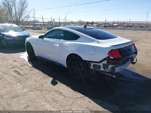 Ford Mustang Ecoboost Fastback 2021 1FA6P8TH1M5109202 Image 3