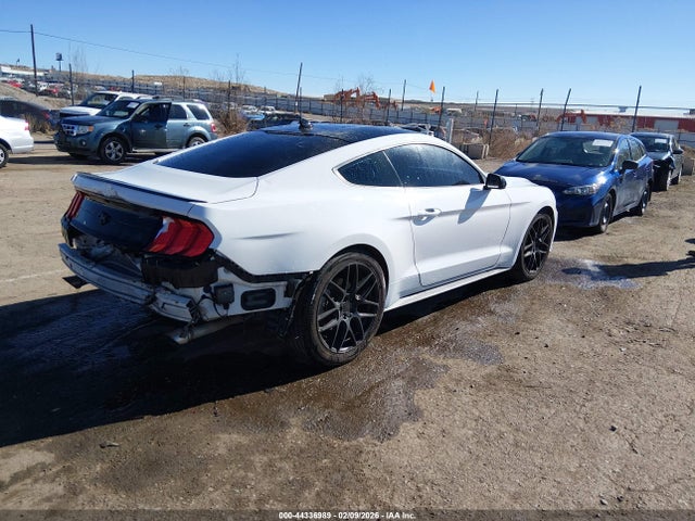 Ford Mustang Ecoboost Fastback 2021 1FA6P8TH1M5109202 Image 4