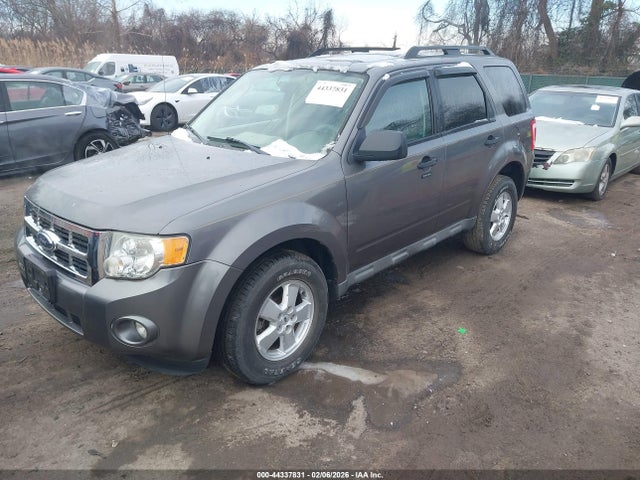 2009 FORD ESCAPE 1FMCU03G09KB87389 Photo 1