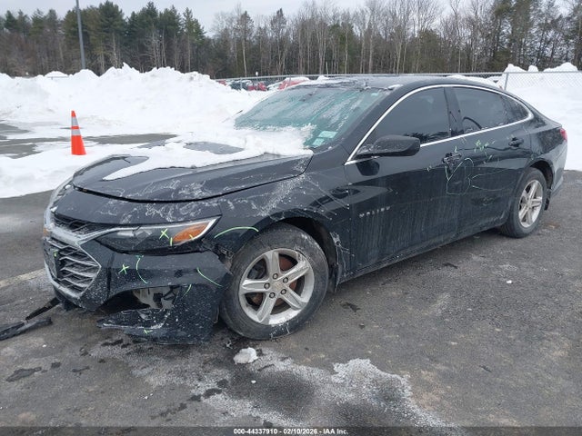 44337910 :رقم المزاد ، 1G1ZB5ST5KF195138 vin ، 2019 Chevrolet Malibu 1ls مزاد بيع