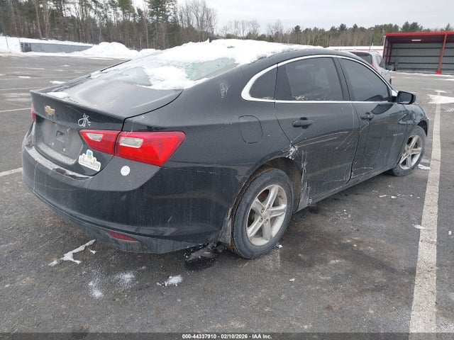 44337910 :رقم المزاد ، 1G1ZB5ST5KF195138 vin ، 2019 Chevrolet Malibu 1ls مزاد بيع