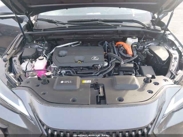 44338627 :رقم المزاد ، JTJGKCEZXS2063502 vin ، 2025 Lexus Nx 350h Premium مزاد بيع