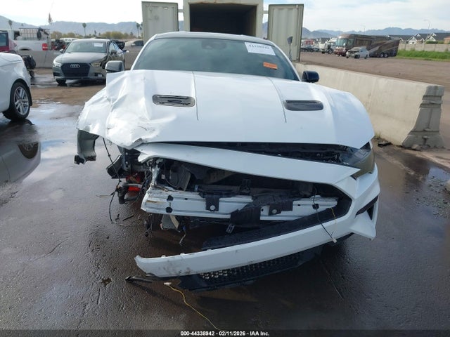 Ford Mustang Gt Fastback 2021 1FA6P8CF1M5144112 Image 13