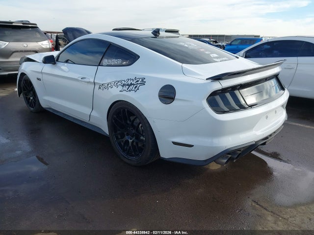 Ford Mustang Gt Fastback 2021 1FA6P8CF1M5144112 Image 3