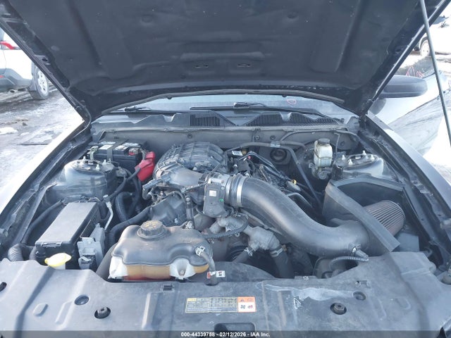 1ZVBP8AM6E5293561 Ford Mustang V6