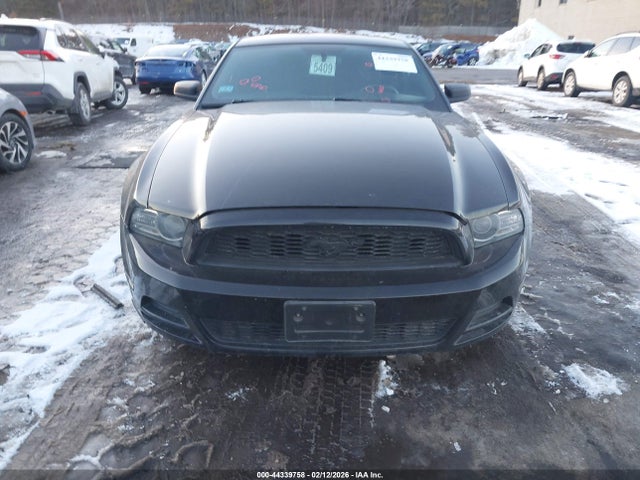 1ZVBP8AM6E5293561 Ford Mustang V6