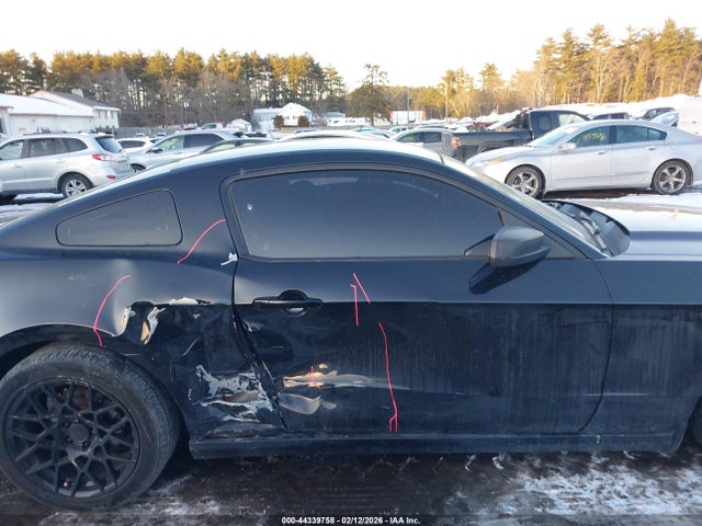 1ZVBP8AM6E5293561 Ford Mustang V6