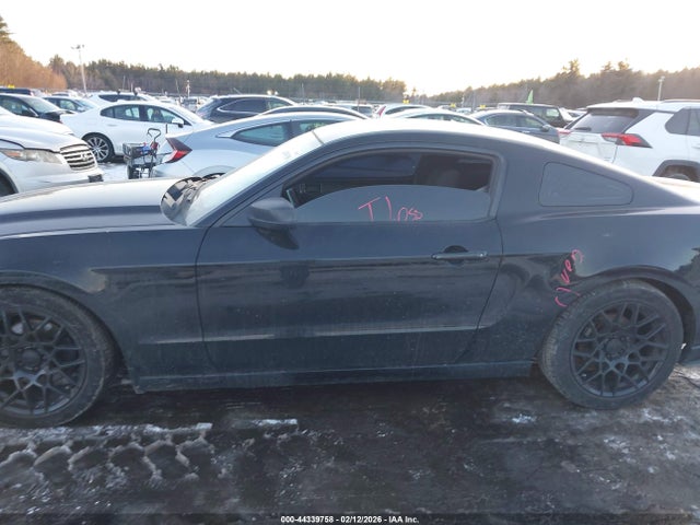 1ZVBP8AM6E5293561 Ford Mustang V6
