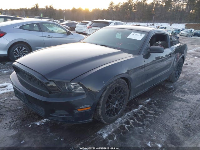 1ZVBP8AM6E5293561 Ford Mustang V6