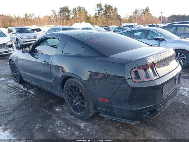 1ZVBP8AM6E5293561 Ford Mustang V6