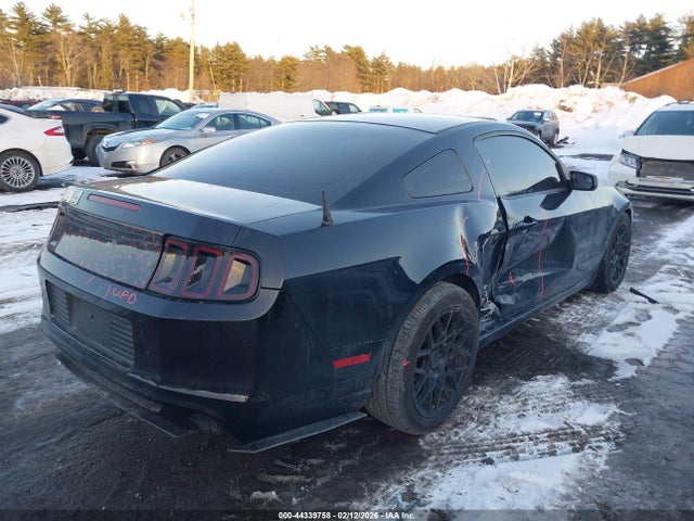 1ZVBP8AM6E5293561 Ford Mustang V6