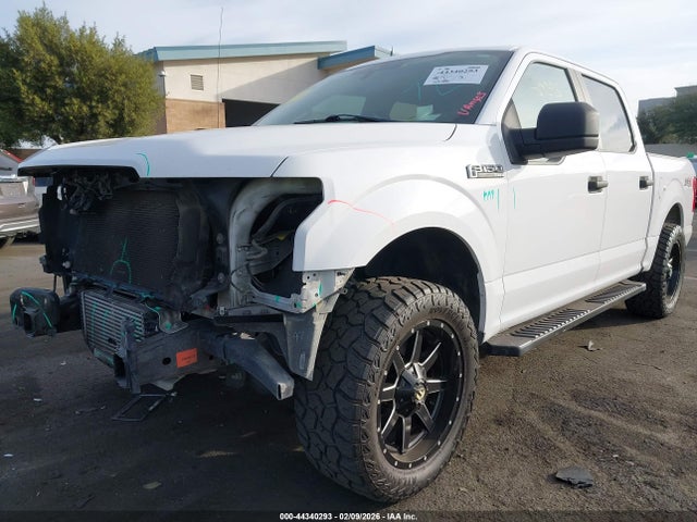 Ford F-150 Xl 2019 1FTEW1CP1KKE37919 Image 2