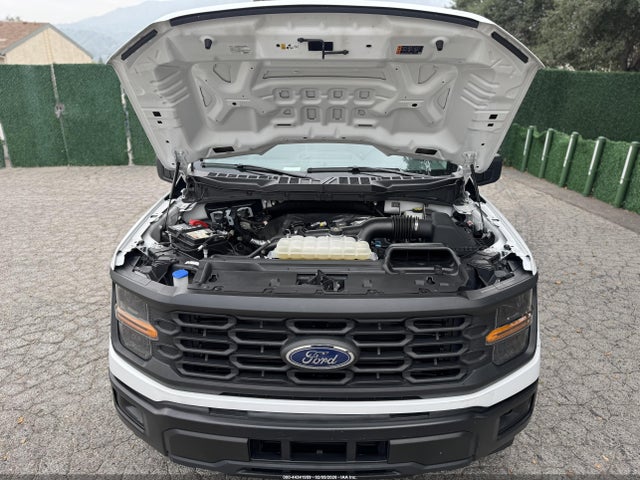 1FTEX1KP6RKD18238 Ford F-150 Xl