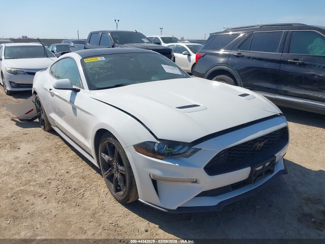 2019 FORD MUSTANG 1FA6P8TH1K5192787